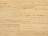 Desire Oak 8mm Laminate