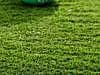 Goodwood 28mm Artificial Grass