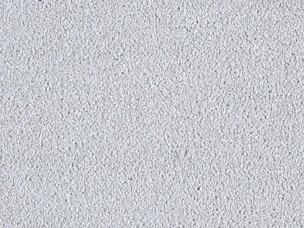 Minister Twist - Arctic