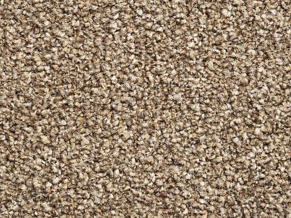 New York Elite - Saddle