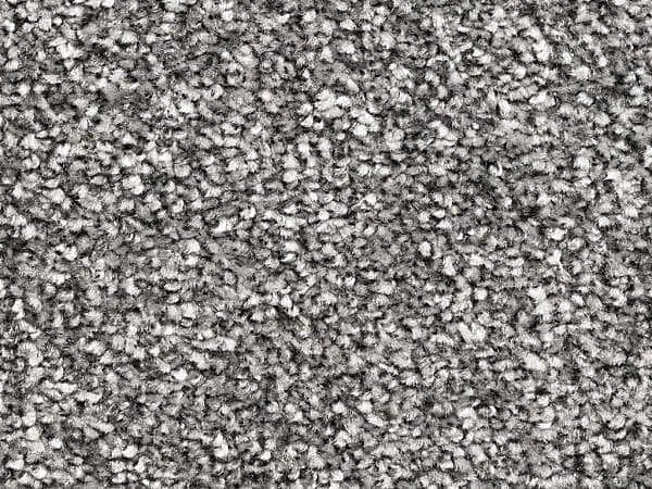 New York Elite - Graphite