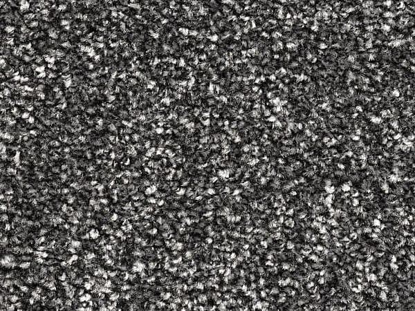 New York Elite - Carbon