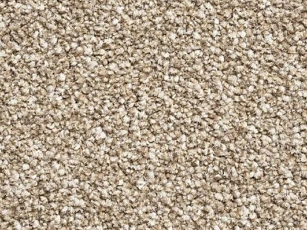 New York Elite - Biscuit