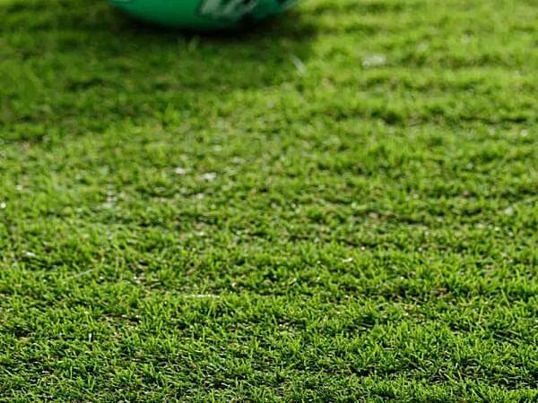 Goodwood 28mm Artificial Grass