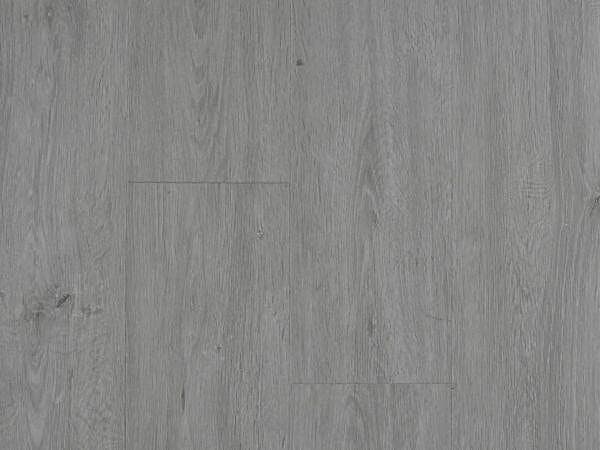 Grey Sand Oak PREMIUM 6.0 SPC Vinyl Click
