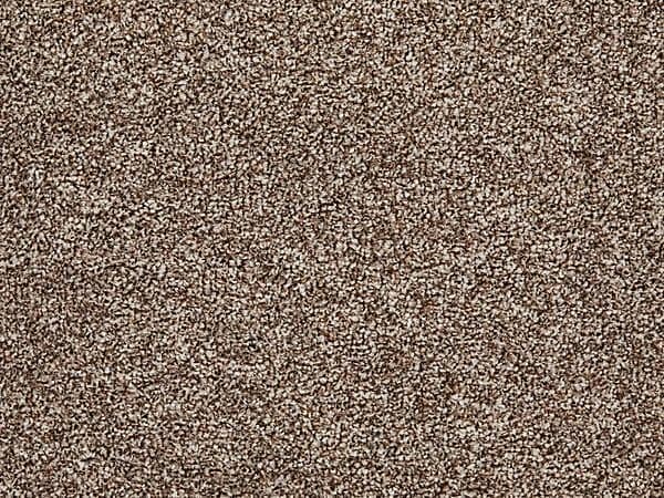 Bellini Twist - Biscuit