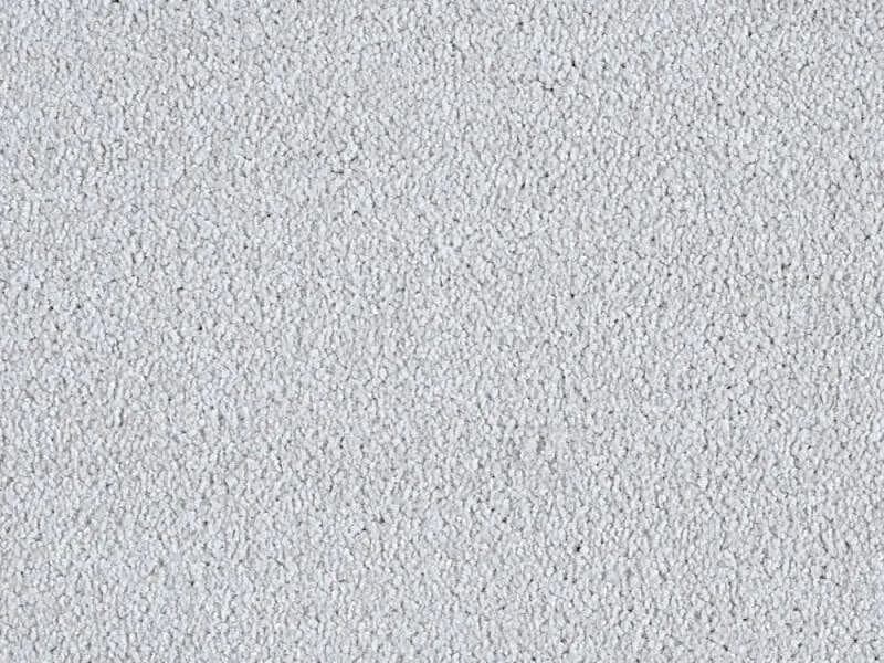 Minister Twist - Arctic