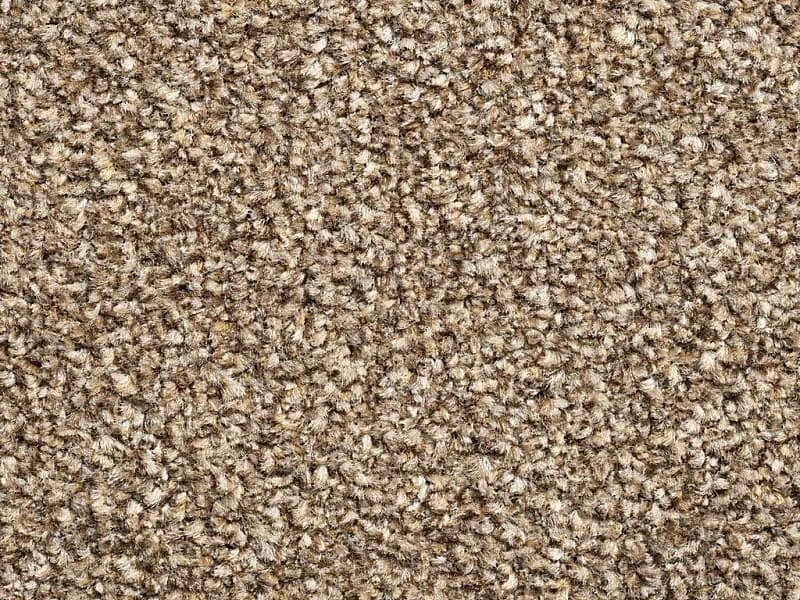 New York Elite - Saddle