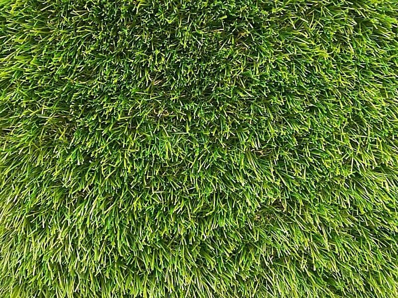 Oakmont 38mm Artificial Grass