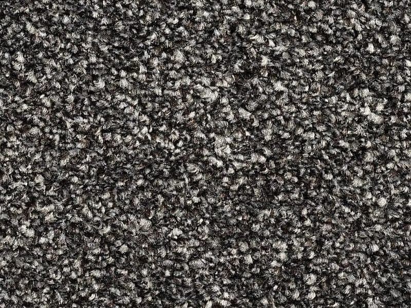 New York Elite - Charcoal