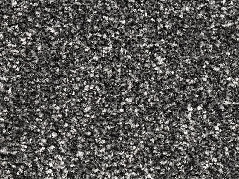 New York Elite - Carbon