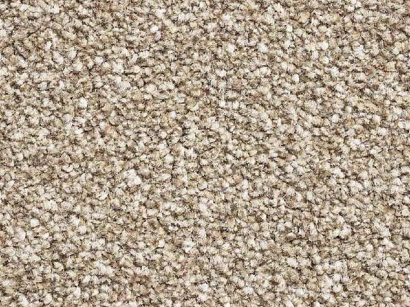 New York Elite - Biscuit