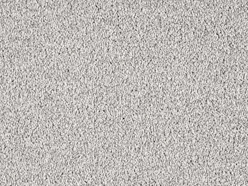 Minister Twist - Steel