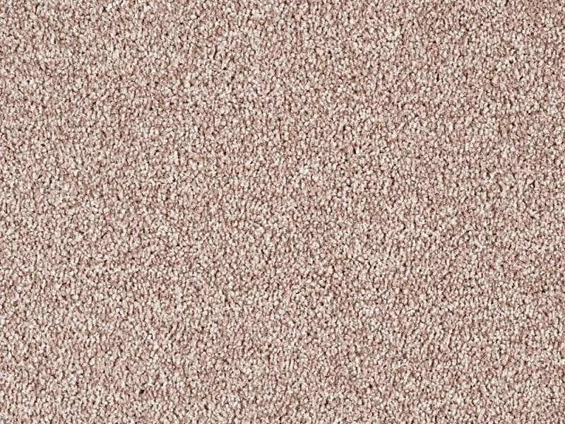 Minister Twist - Oyster